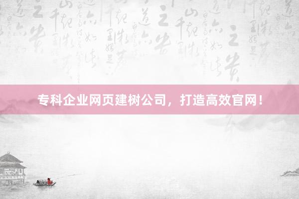 专科企业网页建树公司，打造高效官网！